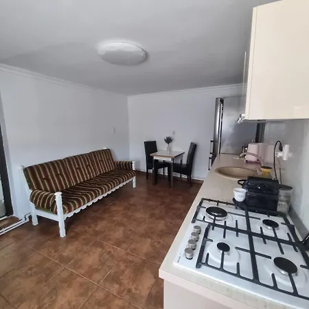 Casa Petcu Guest house