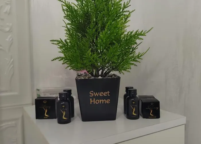 Casa Petcu Гостевой дом