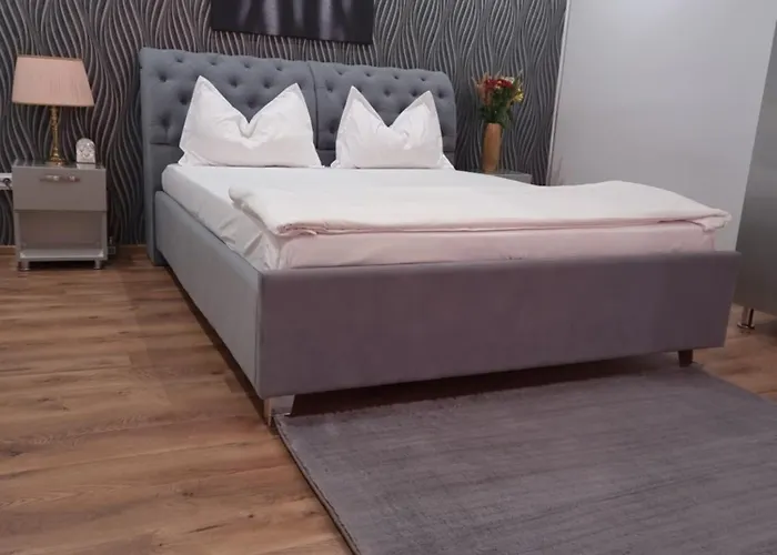 Casa Petcu Гостевой дом