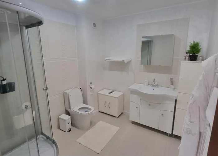 Casa Petcu 4* Крайова