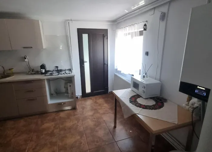 Гостевой дом Casa Petcu