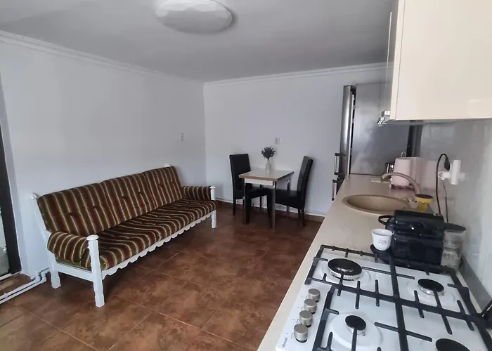 Casa Petcu Гостевой дом